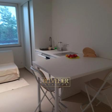 Pronájem bytu 1+kk, Teplice, Petra Jilemnického, 26 m2