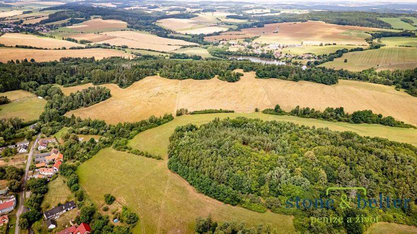 Prodej lesa, Zvěstov, 45954 m2