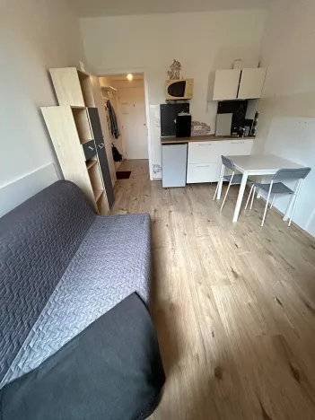 Pronájem bytu 1+kk, Praha - Krč, Budějovická, 20 m2