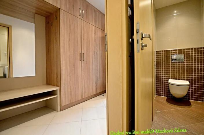 Pronájem bytu 1+kk, Praha - Žižkov, Olšanská, 33 m2