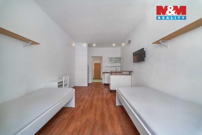 Pronájem bytu 1+kk, Plzeň, Vrchlického, 27 m2