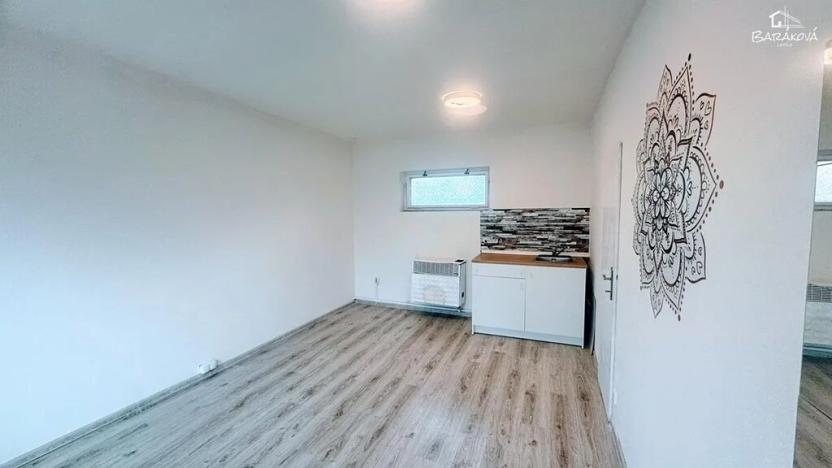 Pronájem obchodního prostoru, Plzeň, Mánesova, 17 m2