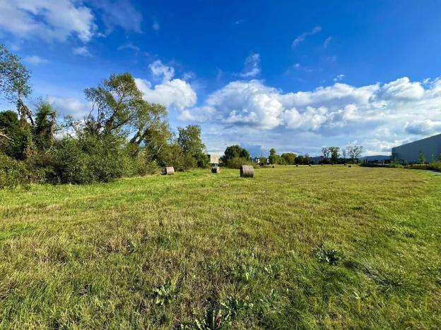 Prodej komerčního pozemku, Český Těšín, Sokolovská, 7307 m2