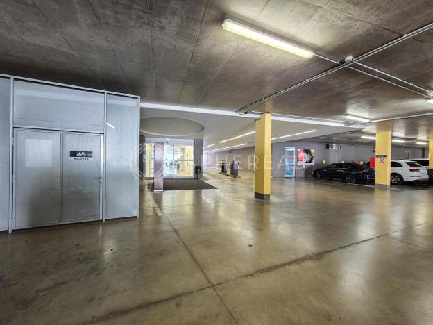 Pronájem kanceláře, Brno - Žabovřesky, Veveří, 50 m2