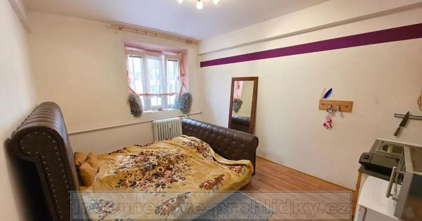 Pronájem pokoje, Praha - Holešovice, Bubenská, 15 m2