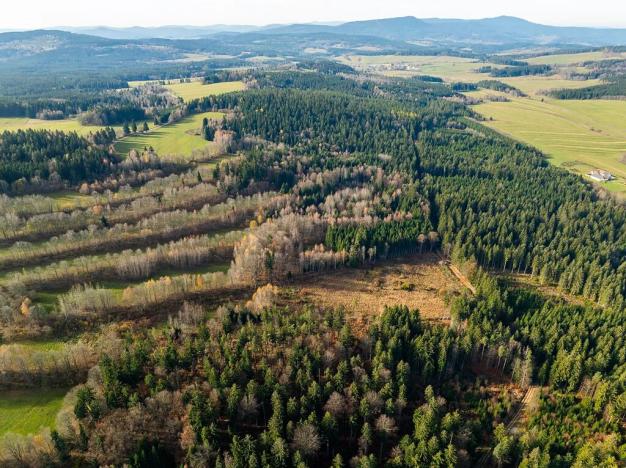 Prodej louky, Zbytiny, 33917 m2