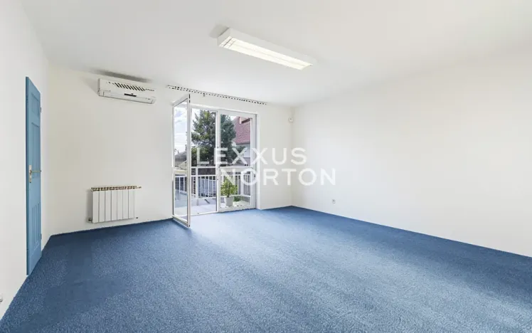 Prodej rodinného domu, Roudnice nad Labem, Dr. Slavíka, 300 m2