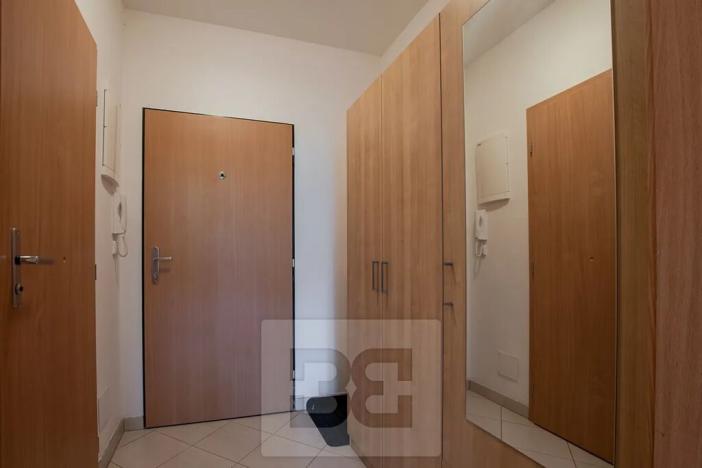 Pronájem bytu 1+kk, Praha - Vysočany, Jana Přibíka, 27 m2