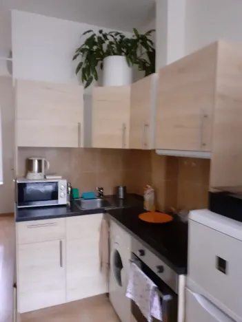 Pronájem bytu 1+kk, Praha - Michle, Čapkova, 20 m2