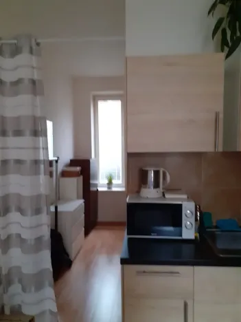 Pronájem bytu 1+kk, Praha - Michle, Čapkova, 20 m2