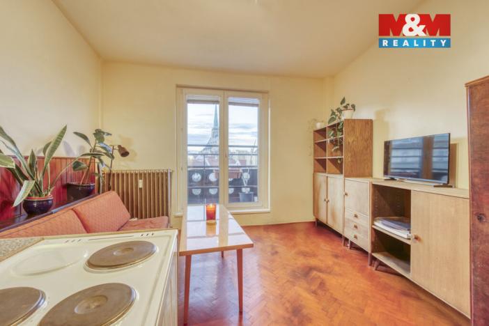 Pronájem bytu 1+kk, Plzeň - Východní Předměstí, Šafaříkovy sady, 23 m2