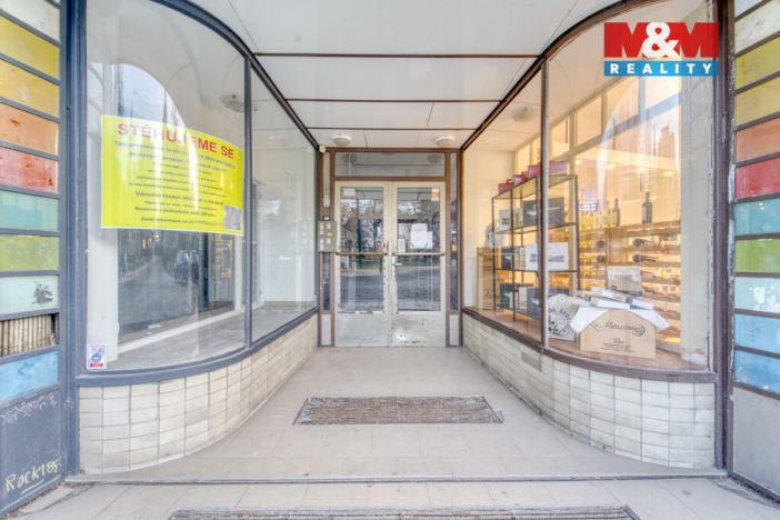 Pronájem bytu 1+kk, Plzeň - Východní Předměstí, Šafaříkovy sady, 23 m2