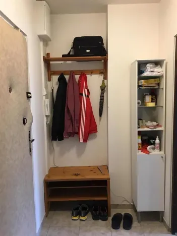 Pronájem bytu 1+1, Praha - Lhotka, Jílovská, 45 m2