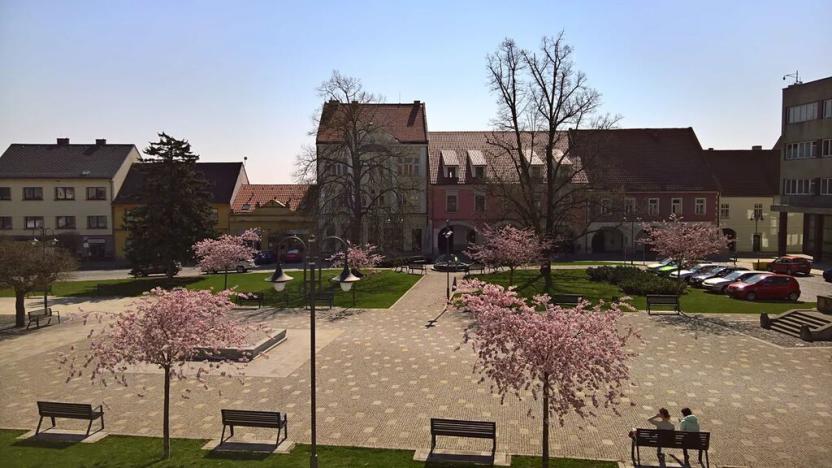 Pronájem obchodního prostoru, Benátky nad Jizerou, Husovo náměstí, 30 m2