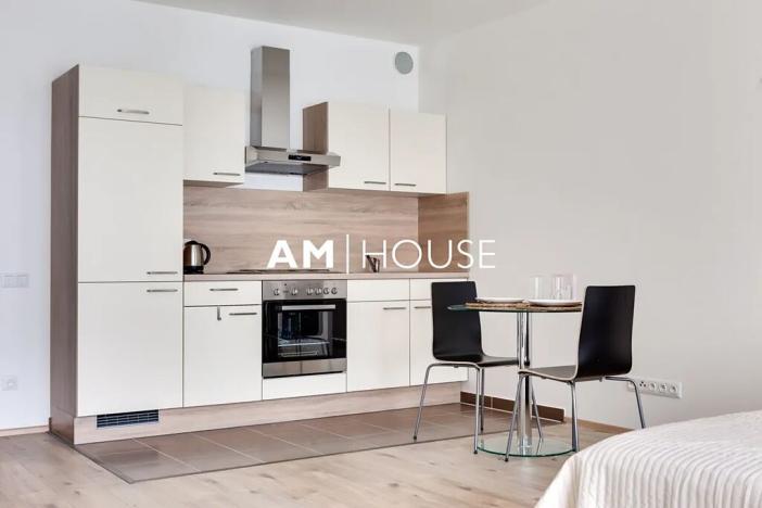 Pronájem bytu 1+kk, Praha - Žižkov, Olgy Havlové, 42 m2