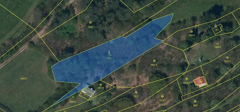 Prodej lesa, Mrákotín, 2434 m2