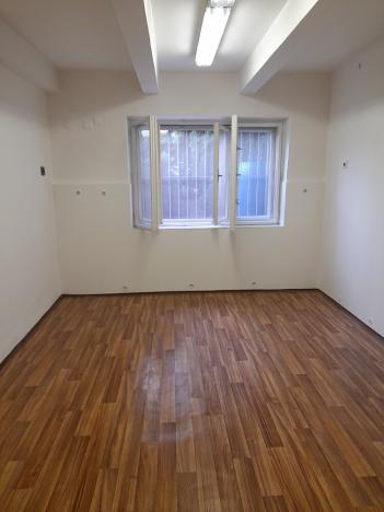 Pronájem bytu 1+1, Olomouc, Smetanova, 45 m2