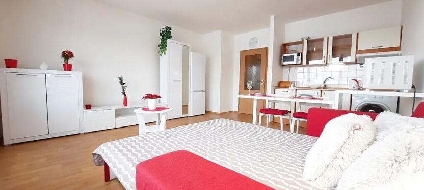 Pronájem bytu 1+kk, Brno, Sevastopolská, 38 m2