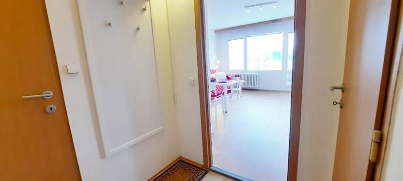 Pronájem bytu 1+kk, Brno, Sevastopolská, 38 m2