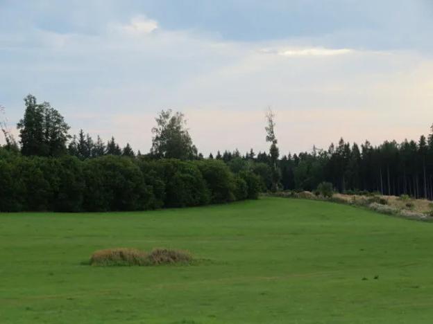 Dražba pole, Počátky, 11945 m2