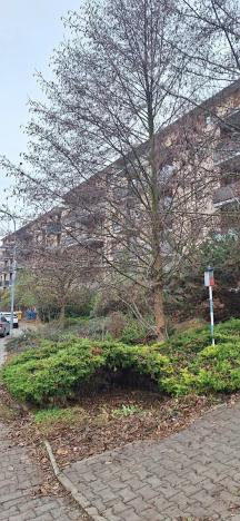 Pronájem bytu 1+kk, Brno, U Leskavy, 34 m2