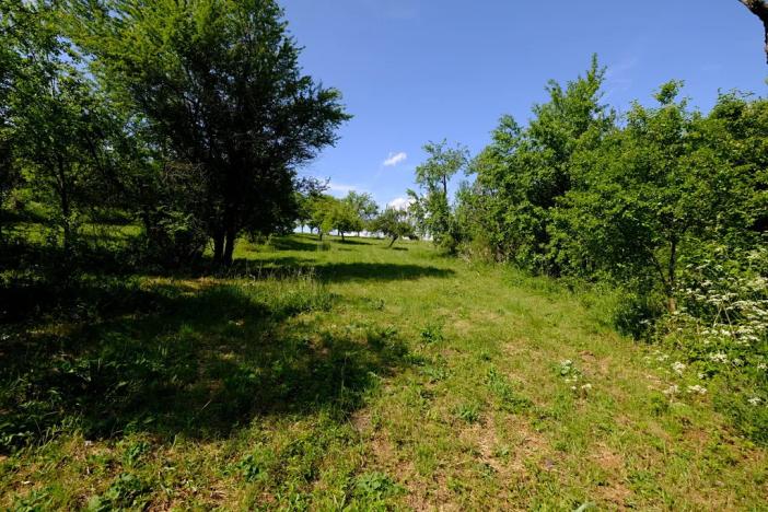 Prodej zahrady, Uherský Brod, 2032 m2