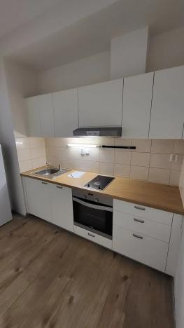 Prodej bytu 1+kk, Brno, Stará, 45 m2