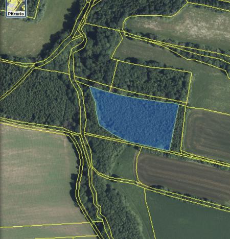 Prodej lesa, Lánov - Horní Lánov, 15278 m2
