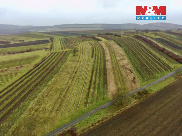 Prodej pole, Dolní Dunajovice, 6580 m2