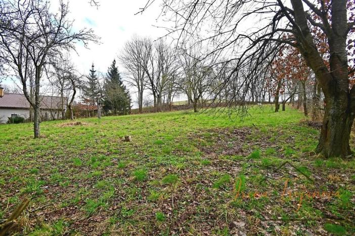 Prodej pozemku pro bydlení, Benešov, 1040 m2