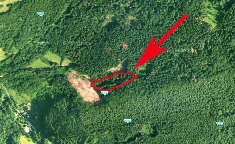 Prodej louky, Růžďka, 6506 m2