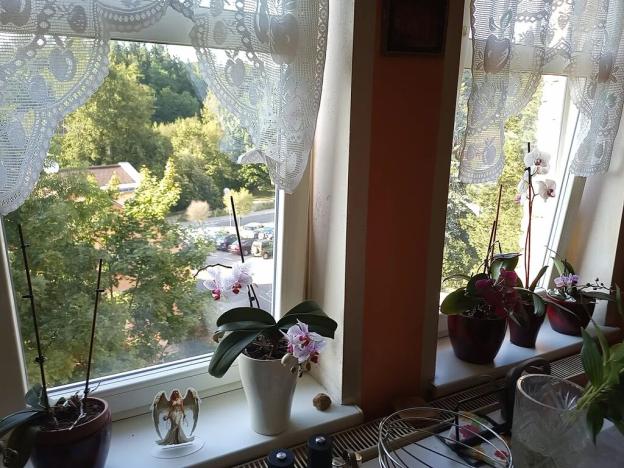 Prodej komerční nemovitosti, Jablonec nad Nisou, Vítězslava Nezvala, 680 m2