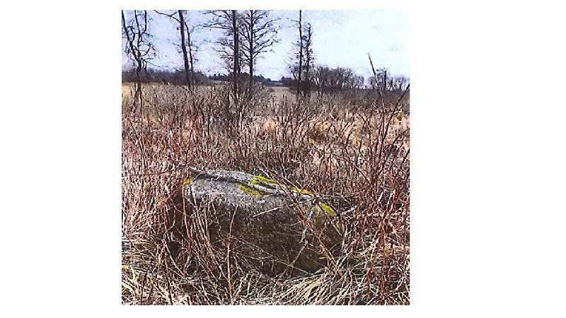 Prodej lesa, Přeckov, 8700 m2