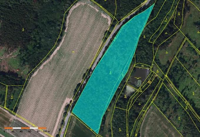 Prodej podílu lesa, Polná, 18408 m2