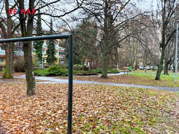 Pronájem bytu 1+kk, Praha - Prosek, Jetřichovická, 30 m2