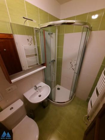 Pronájem bytu 4+kk, Vítkovice, 97 m2