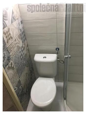 Prodej bytu 2+kk, Praha - Žižkov, Štítného, 53 m2