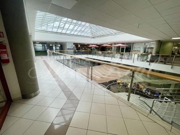 Pronájem obchodního prostoru, Brno - Zábrdovice, Příkop, 50 m2