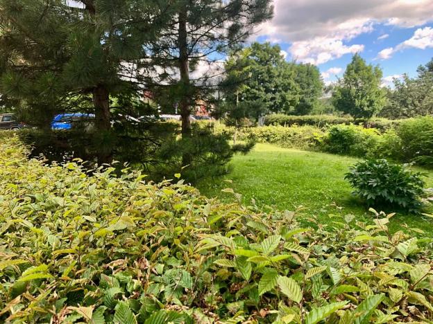 Pronájem bytu 2+kk, Brno, Opálkova, 42 m2