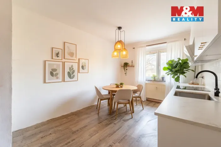 Prodej bytu 2+1, Bor - Vysočany, 63 m2