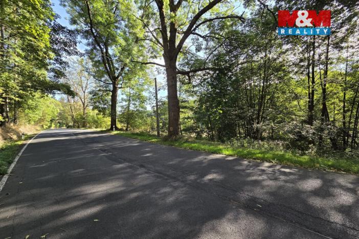 Prodej pozemku pro bydlení, Merklín - Lípa, 1763 m2