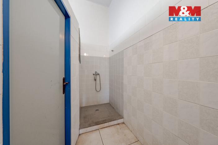 Prodej obchodního prostoru, Šarovy, 400 m2