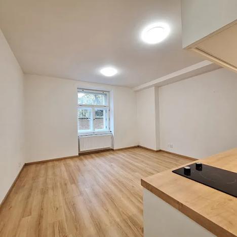 Pronájem bytu 1+kk, Praha - Bubeneč, U zeměpisného ústavu, 26 m2