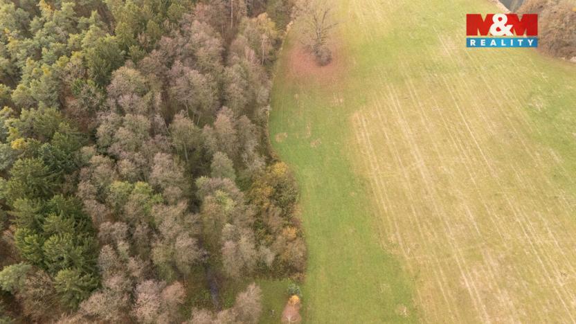 Prodej lesa, Týniště nad Orlicí - Štěpánovsko, 1042 m2