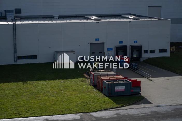 Pronájem výrobních prostor, Hranice, Olomoucká, 12073 m2