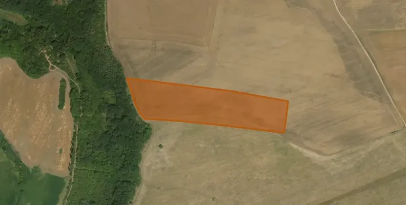 Prodej pole, Staňkovice, 28538 m2