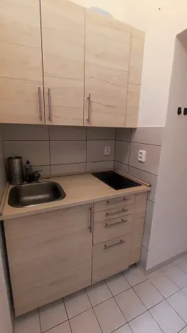 Prodej obchodního prostoru, Praha, Wenzigova, 52 m2