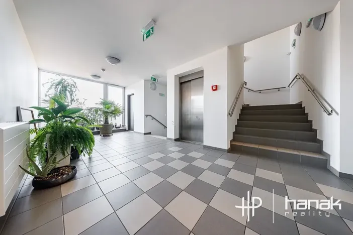 Prodej bytu 2+kk, Olomouc, Wolkerova, 58 m2