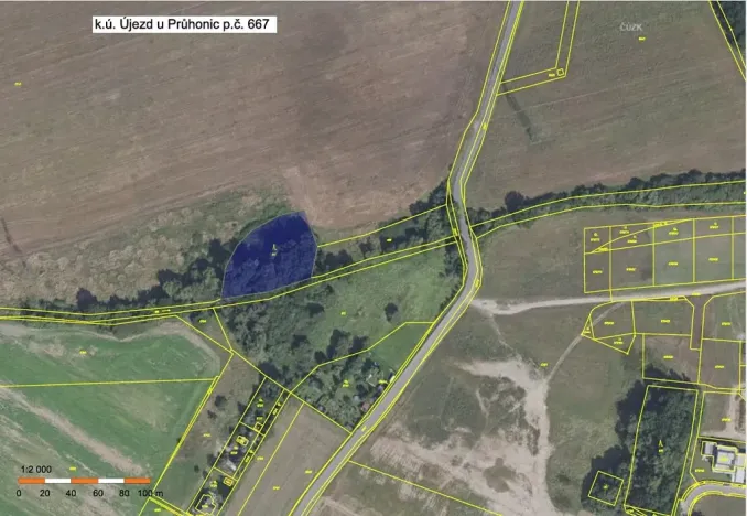 Prodej lesa, Praha, 3199 m2