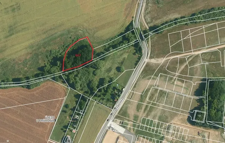 Prodej lesa, Praha, 3199 m2